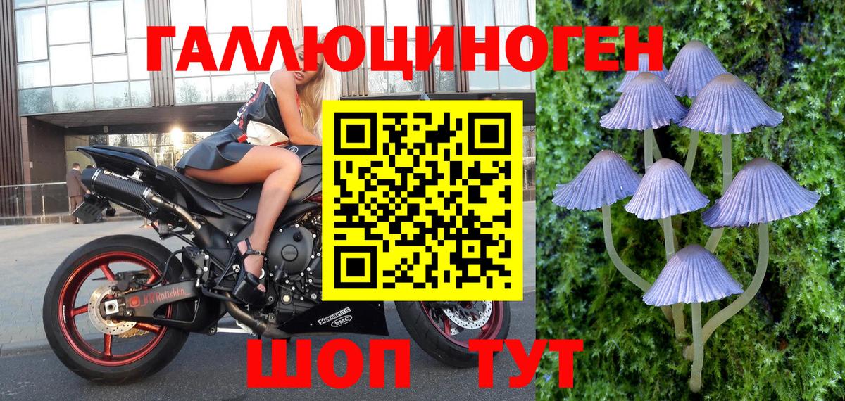 Псилоцибиновые грибы ЛСД Коряжма